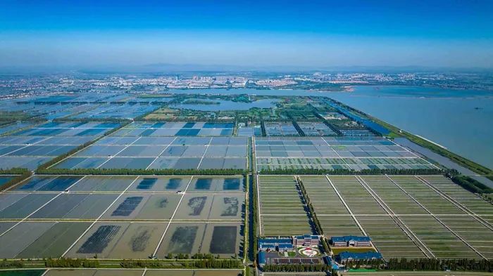 航拍高淳固城湖螃蟹核心區(qū)。高淳區(qū)融媒體中心供圖